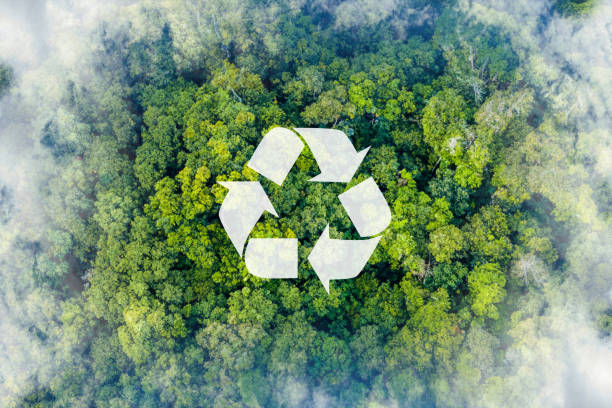 Reciclaje de materiales