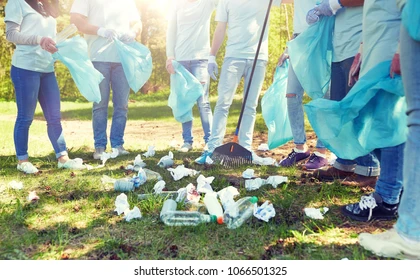 Voluntariado ambiental